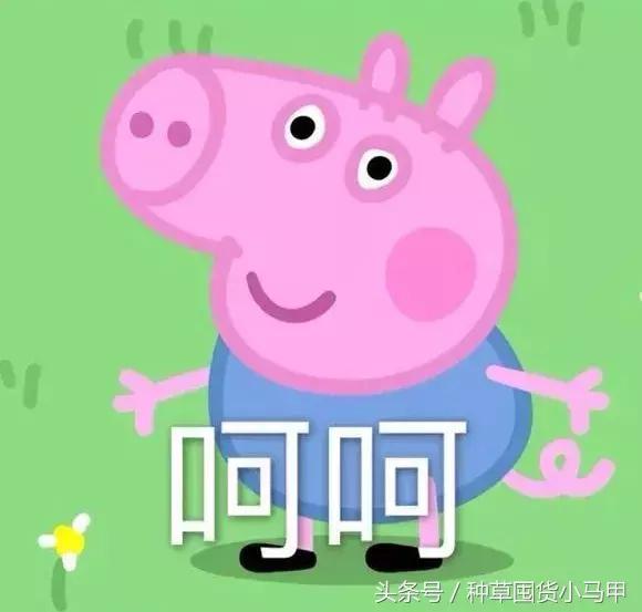 十大网红精华测评,网红精华必买产品