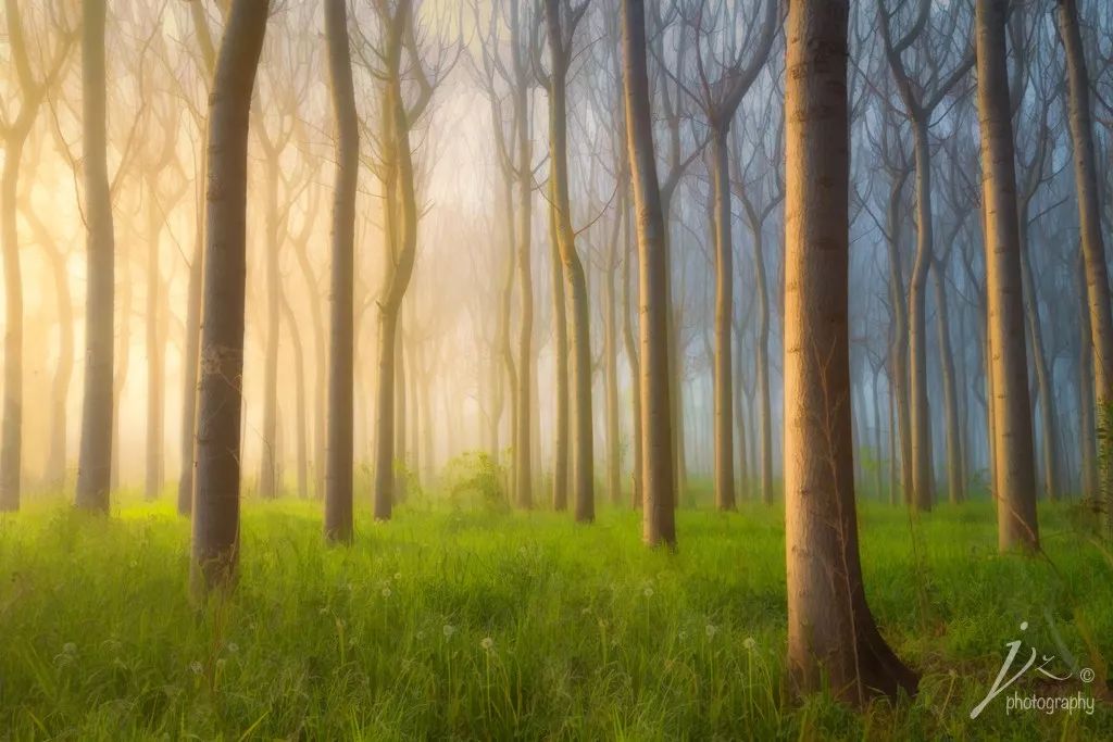 关于构图的照片,关于构图问题