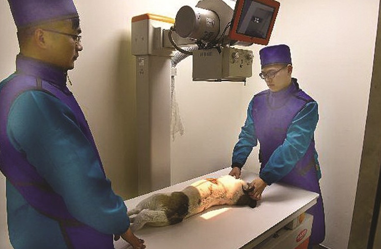 一台彩超机五六十万，无锡“狗医院”五年多出两倍，达134家