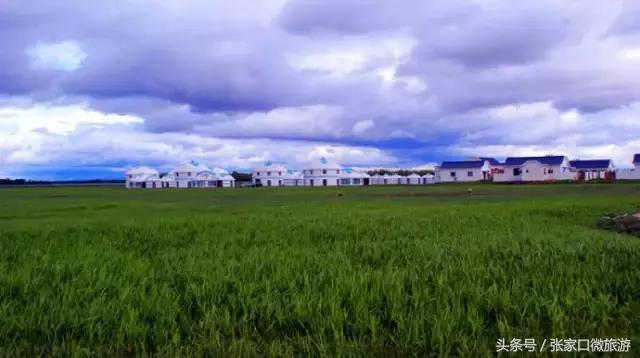 张北的草原,张北草原人少景美