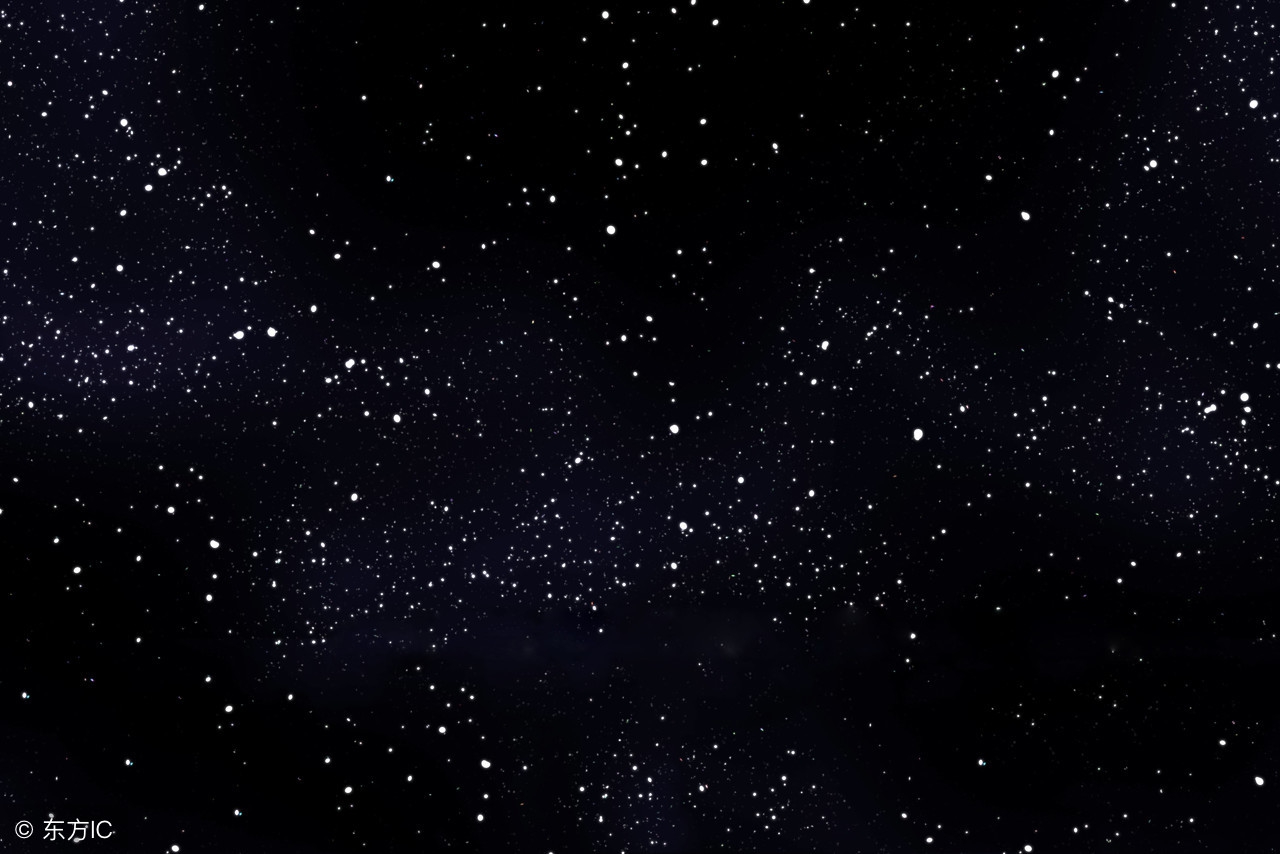 狗能吃海带么,海带能不能给狗吃