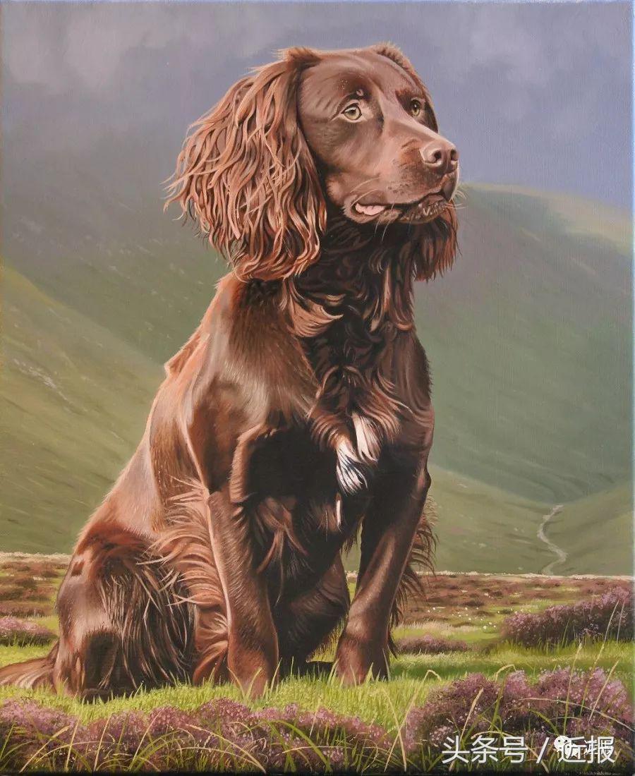 你没见过的萌宠,你没见过的宠物