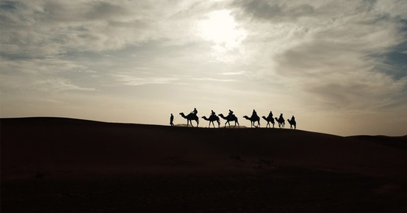 住进沙漠里饭店，发觉肉味道不对，偷进厨房地窖发现可怕食材