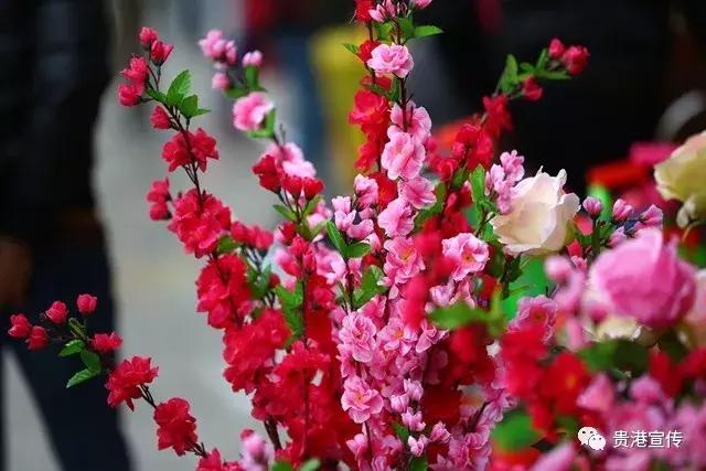 年味十足街拍图片大全,春节贵港街头