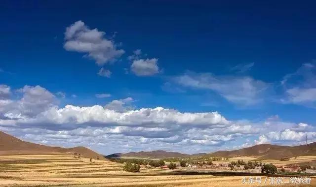 张北草原天路现在的景色,张家口张北草原天路攻略