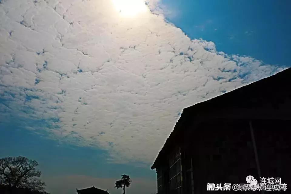 连城再现“云墙”如同“星际穿越”……