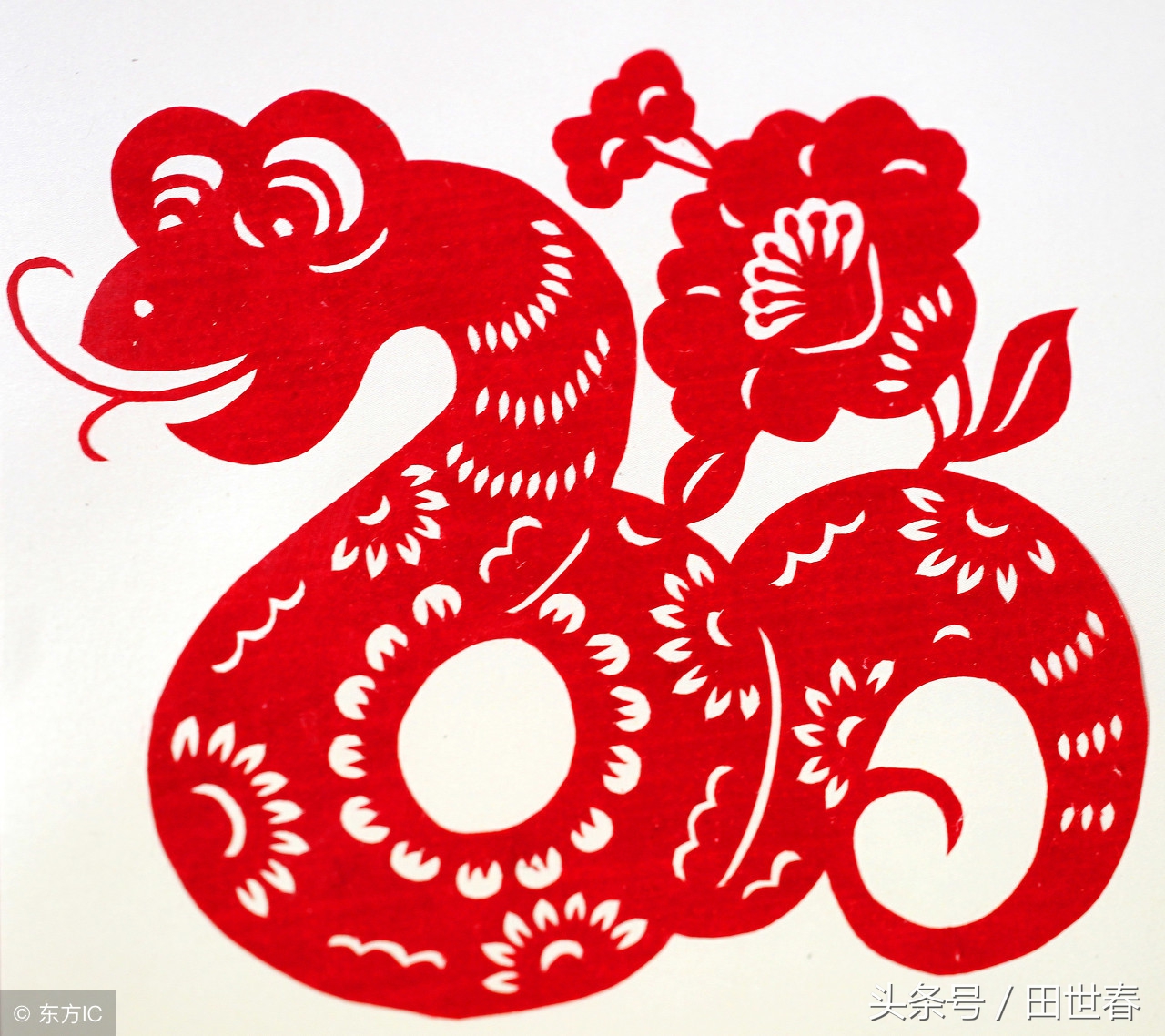 2018年十二生肖整体运势如何呢,2018年的12生肖运势详解