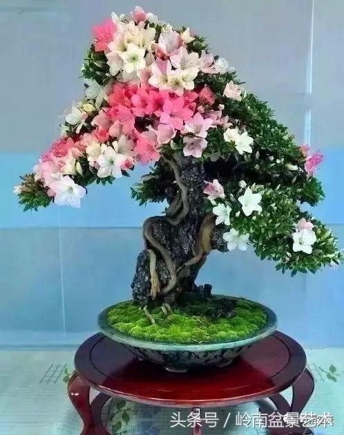 过年送礼好不好,过年送礼单数还是双数好