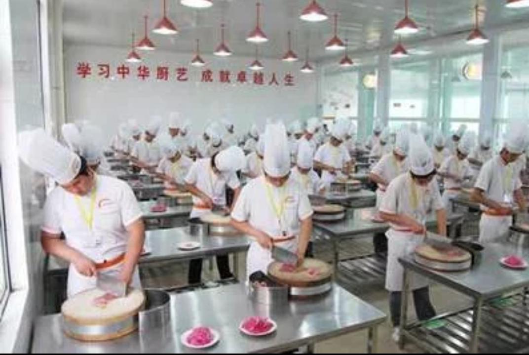 新手怎么握刀切菜切得又快又好,切菜握刀的正确方法左手如何配合