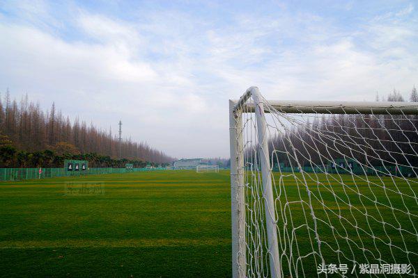 武磊助西班牙人收入猛增,武磊最新身价达2000万欧