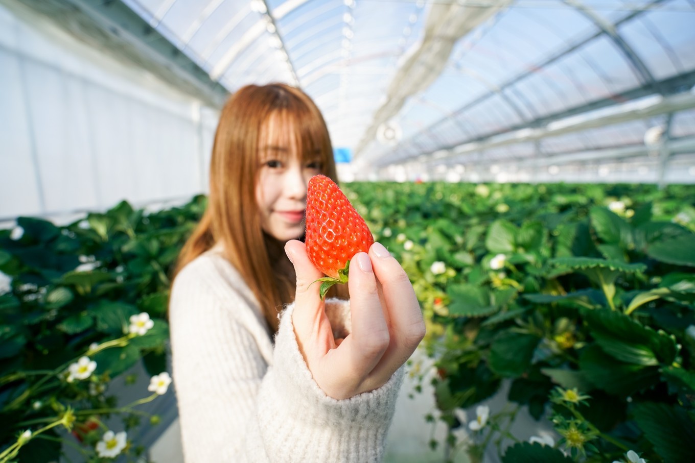 handycam,handycam亲子游