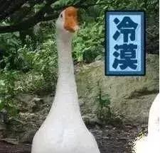 你的羽绒服里面是什么,你的羽绒服穿脏了吗