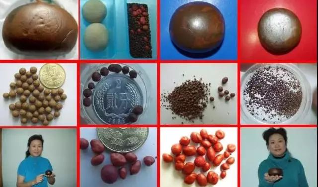 人体特异功能大揭秘,开发人体特异功能的经典方法