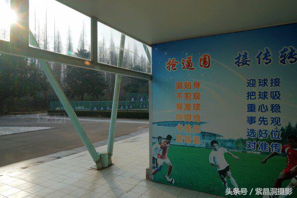 武磊身价能涨到2000万欧吗,武磊最新身价达2000万欧