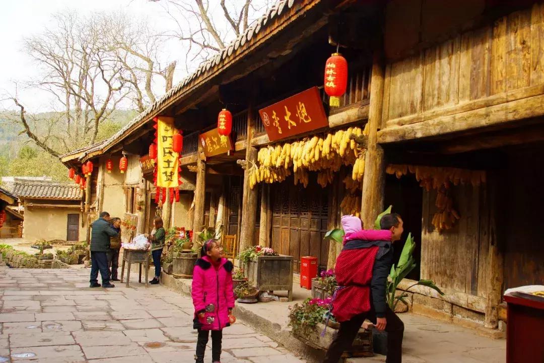 广元市柏林樱花节,广元柏林大型樱花节