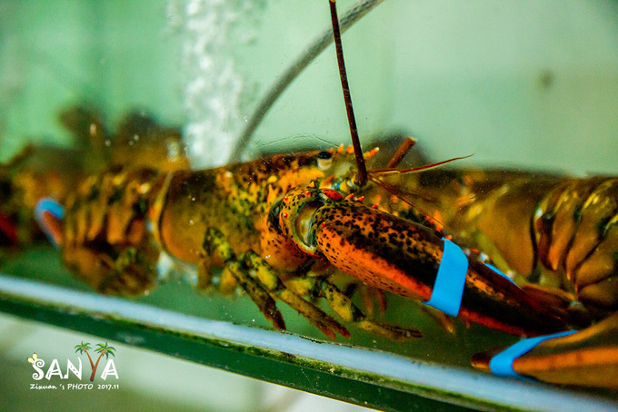 三亚离海南有多少公里,三亚一生去几次