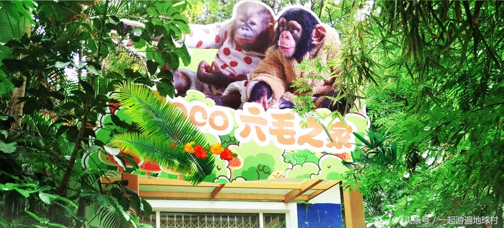 长隆野生动物世界游玩北门攻略,长隆野生动物世界旅游攻略路线