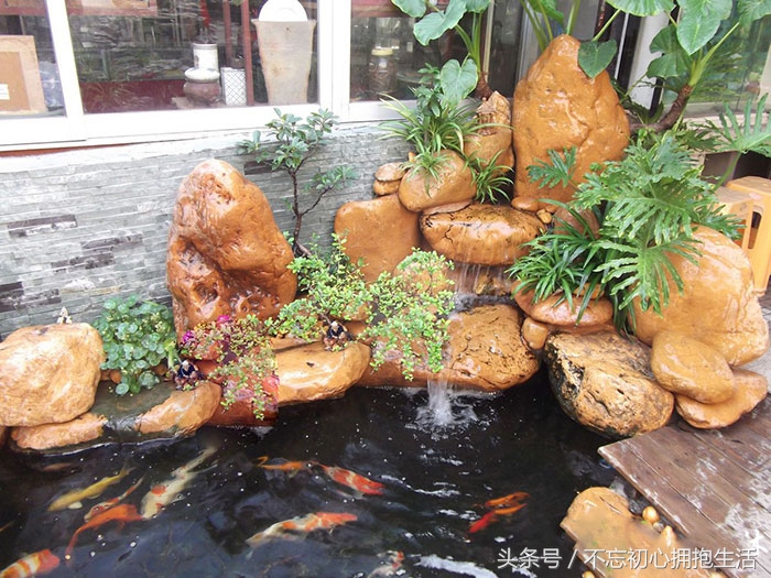 鱼池假山青苔有很多幼虫,假山长青苔好养鱼吗