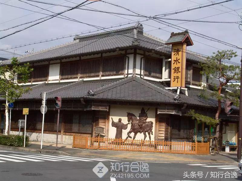 草莓补给，初春十里茶园为赛道，来挂川喝茶跑马！