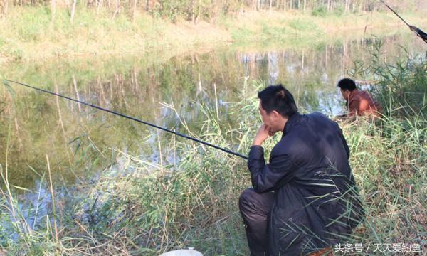 野河钓鲶鱼的方法与技巧,野钓鲶鱼技巧及方法