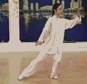 太极二十四式入门基本动作,太极入门学24式吗