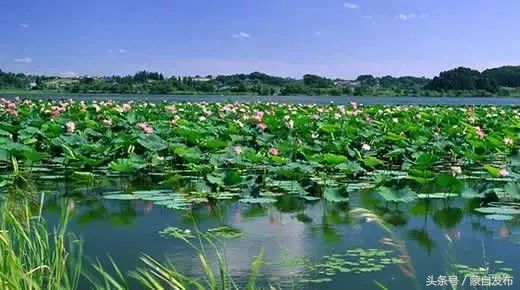 红河县活动,红河县最近乡镇活动