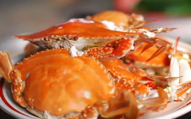 身虽远心已至怎么回复,身虽远心未远