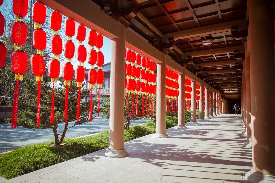 金华近期活动,金华市最新活动