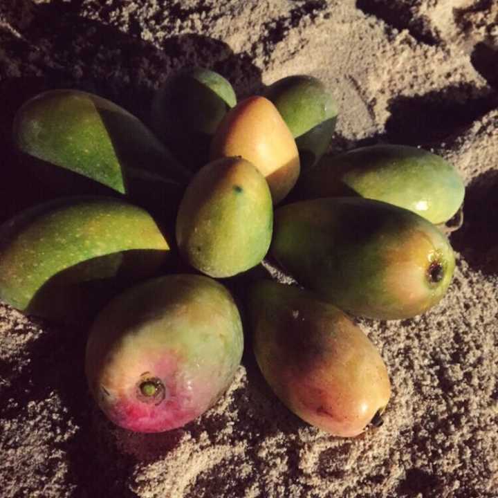 三亚自行游四天三晚攻略,三亚7月游最佳攻略