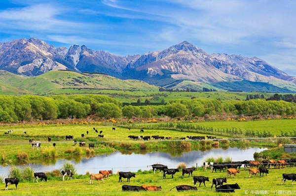 最红色的春晚,红色主题央视春晚