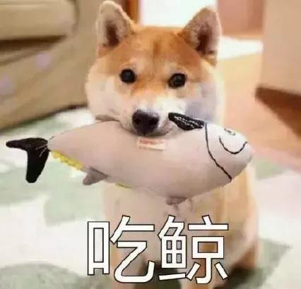 春节档唯一一个没有差评的电影 (春节档已开分的四部电影豆瓣评分)