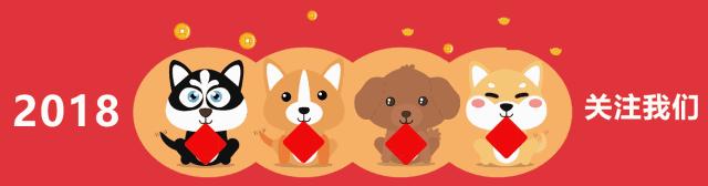 自制立体贺卡的做法,用手机如何制作可爱又好看的贺卡