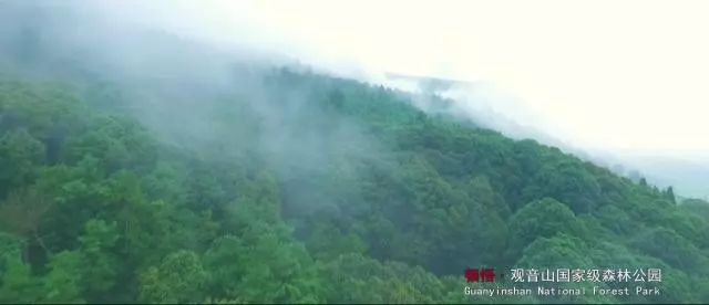 云南芳华取景点,云南蒙自市芳华拍摄地