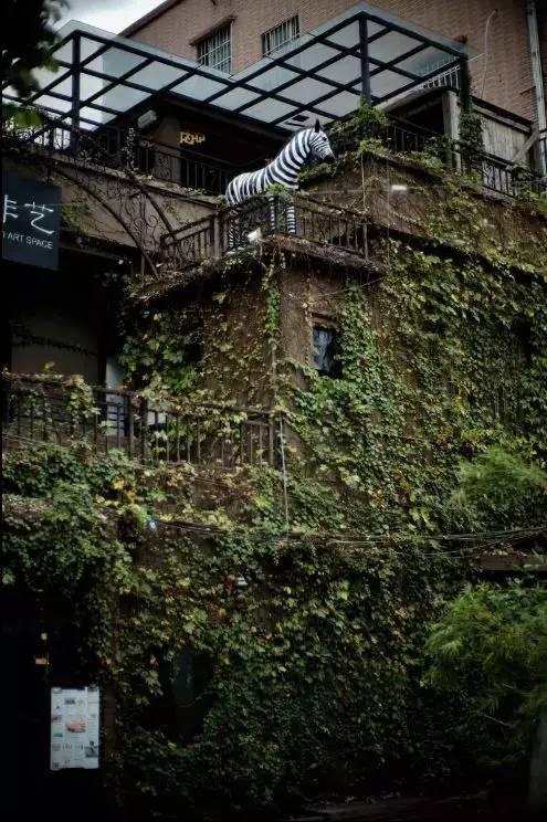 春晚四大分会场曝光，有个竟是“中国第一潜水地”！