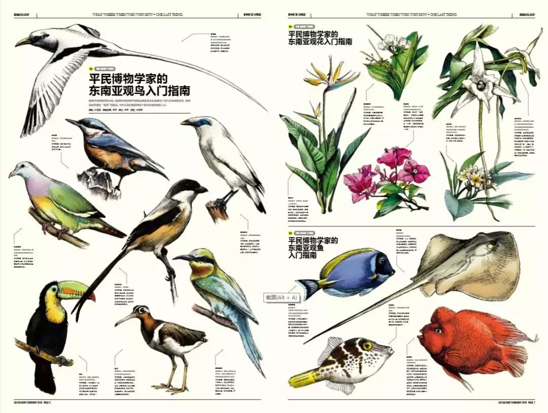 两个黄鹂鸣翠柳一行白鹭来捣乱,两个黄鹂鸣翠柳原版视频