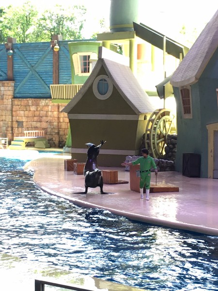 去珠海长隆海洋王国住哪里好,珠海长隆海洋王国烟花时间表