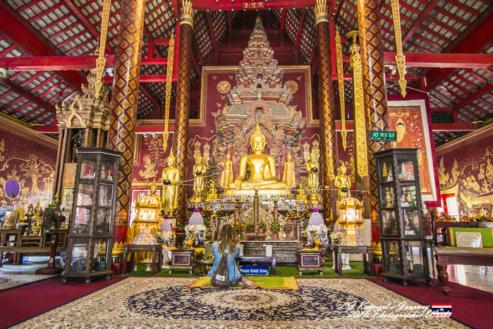 清迈佛寺之城等你采撷的泰北玫瑰,清迈环球旅行家