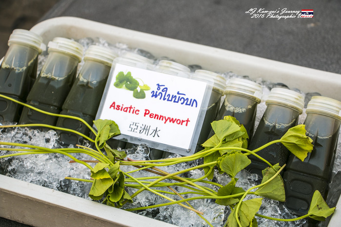 清迈佛寺之城等你采撷的泰北玫瑰,清迈环球旅行家