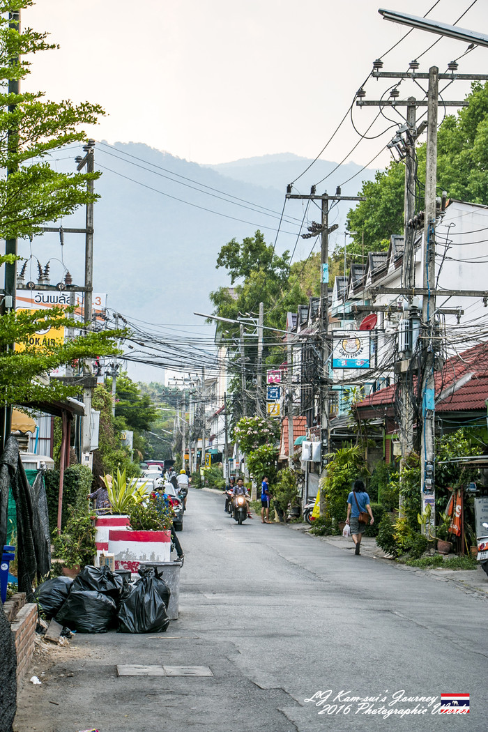 清迈佛寺之城等你采撷的泰北玫瑰,清迈环球旅行家