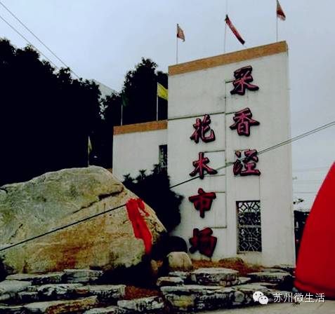 吐血整理，苏州全能省钱手册！从吃到用全都有，超实用