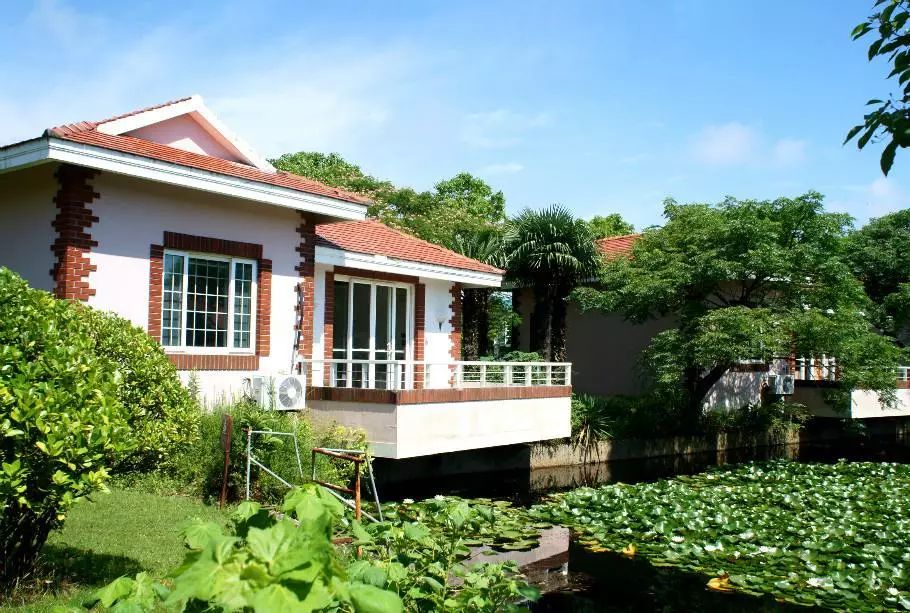 春节上海深度游玩攻略,上海春节游玩攻略老城区