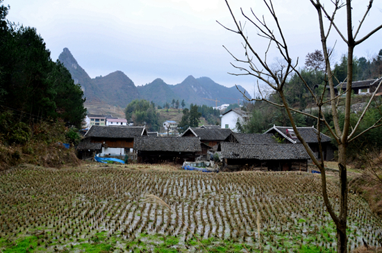 石阡说春唱词,时迁说春词