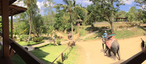 泰国普吉岛之旅美好回忆,普吉岛美好一天