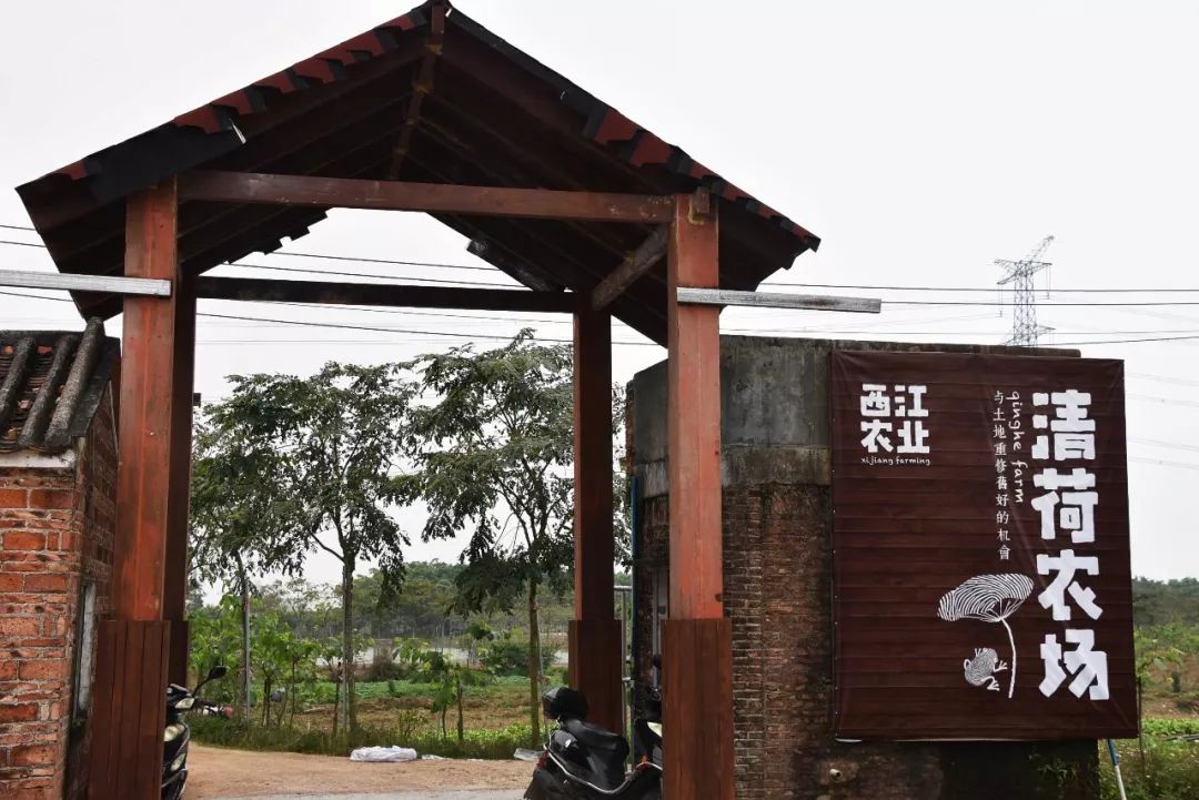 还未脱单？元宵前去东湾村吧，邂逅浪漫！