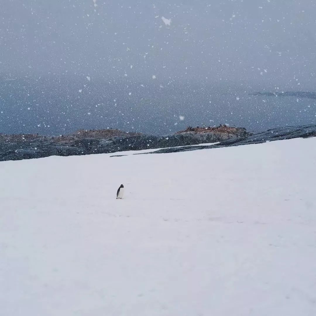经常去旅行的人钱从哪来,去旅游的钱从哪里来的