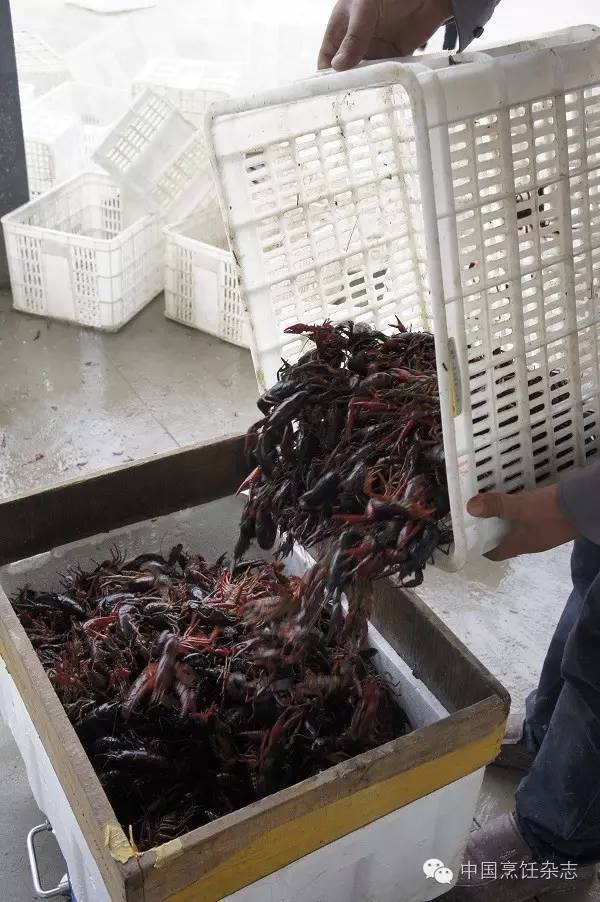 小龙虾，大市场！未来是否继续火爆取决于什么？盱眙、潜江、南京、武汉、上海、北京、合肥、杭州……跟着小龙虾地图走一遭吧！