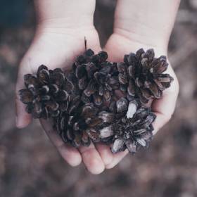 胰岛素笔推药的坏了怎么维修,胰岛素笔坏了怎么补救