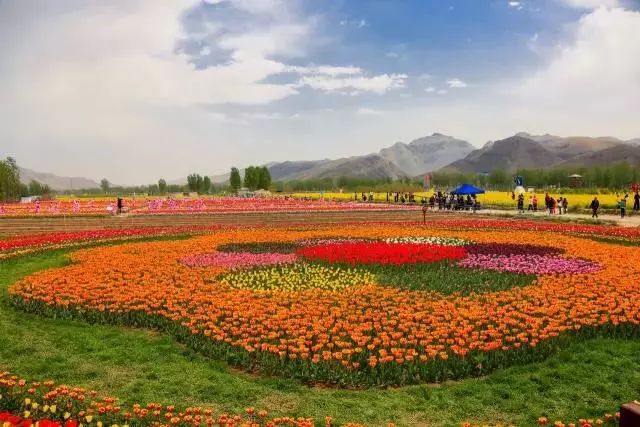 狼牙山龙门湖水上乐园闭园,狼牙山田园花海闭园时间