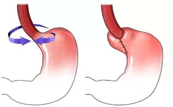 独具特色的学科品牌——家门口的先进技术