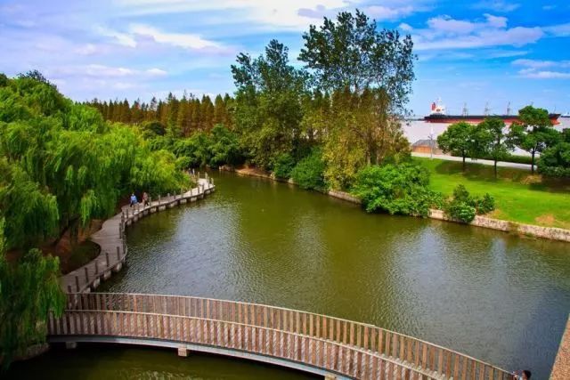 植树节去蚂蚁森林,植树节到